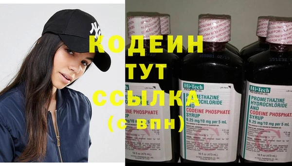 молекула духа Кулебаки